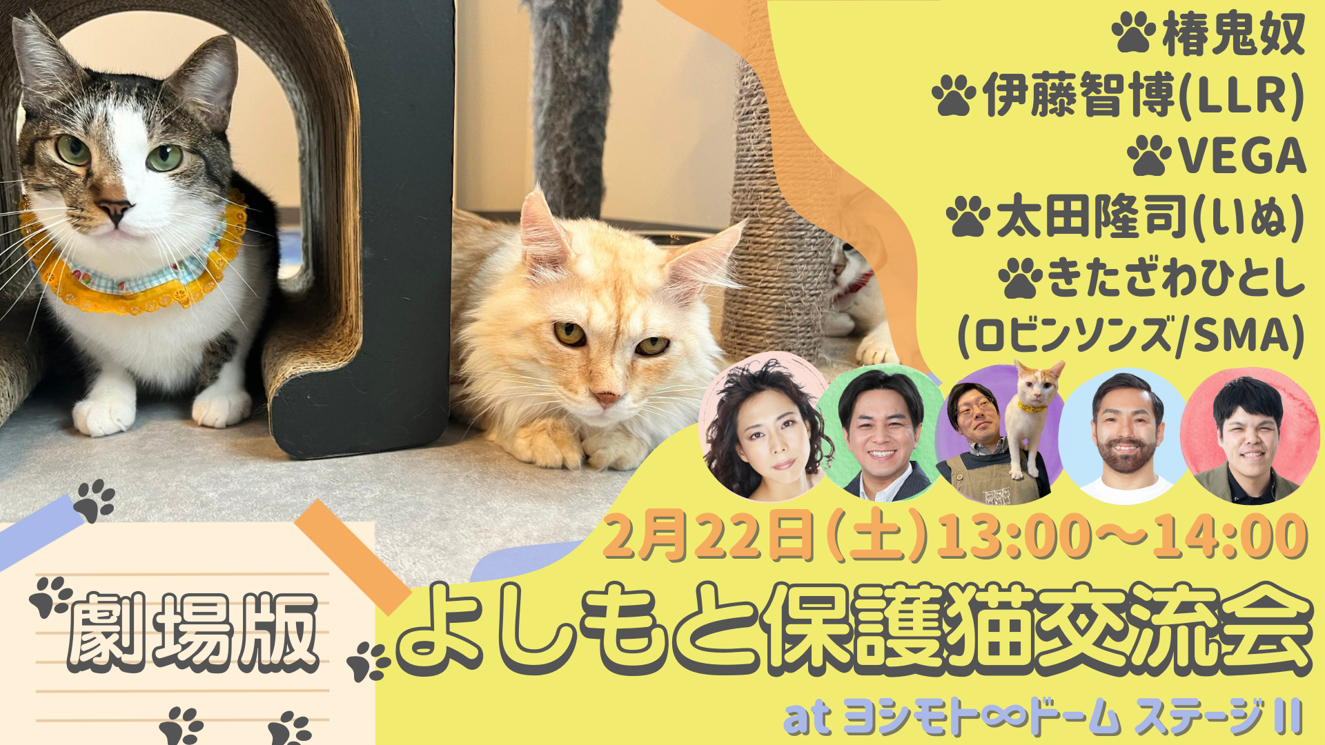 劇場版 よしもと保護猫交流会（2/22　13:00）