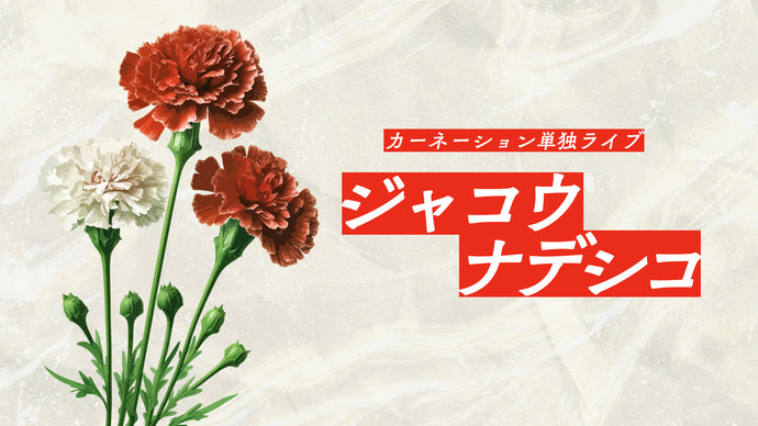 ジャコウナデシコ（9/27　16:00）